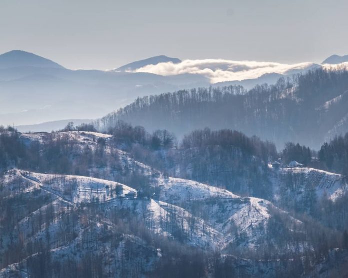 Planina Boranja