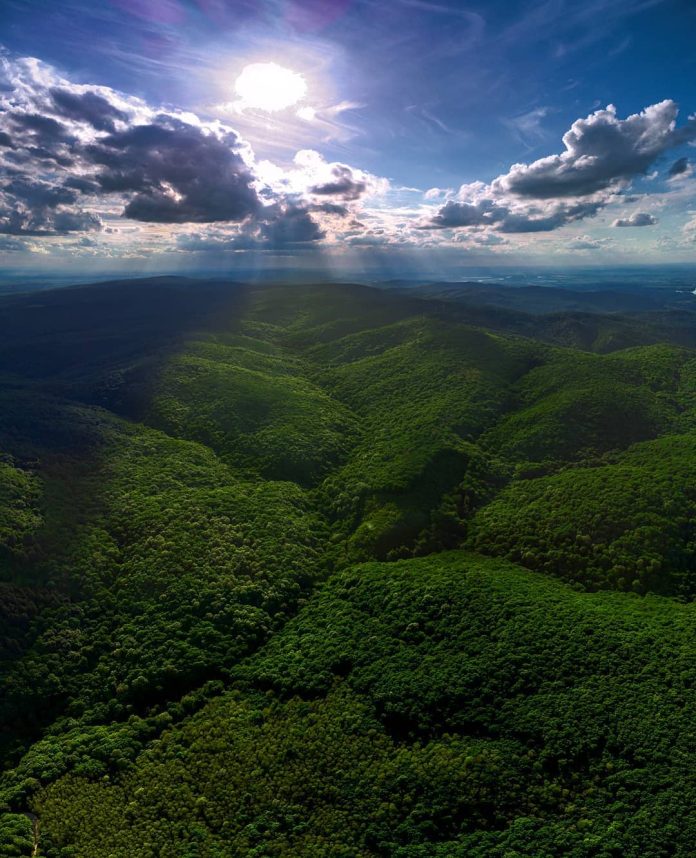 Fruška gora