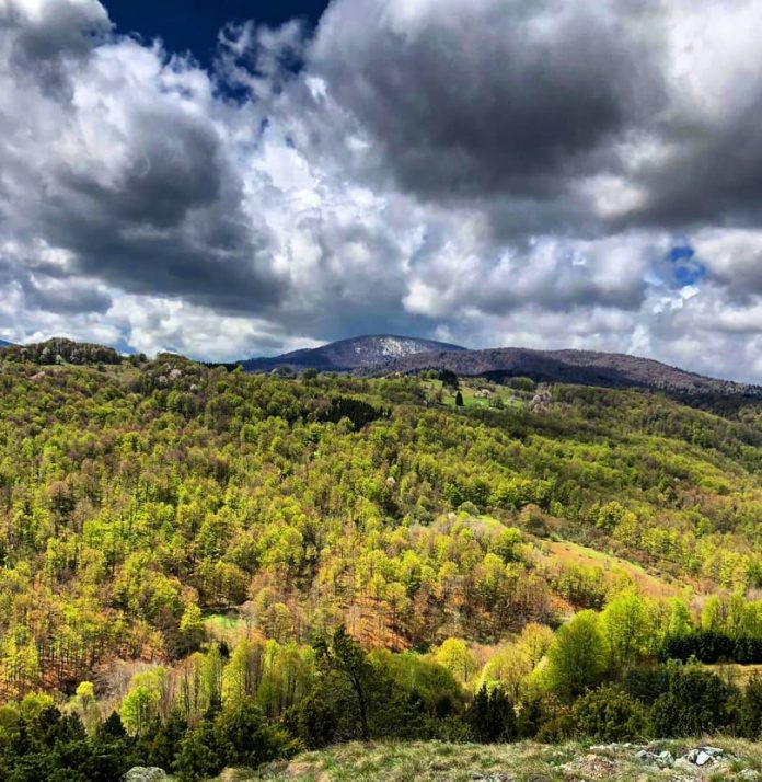 Planina Goč