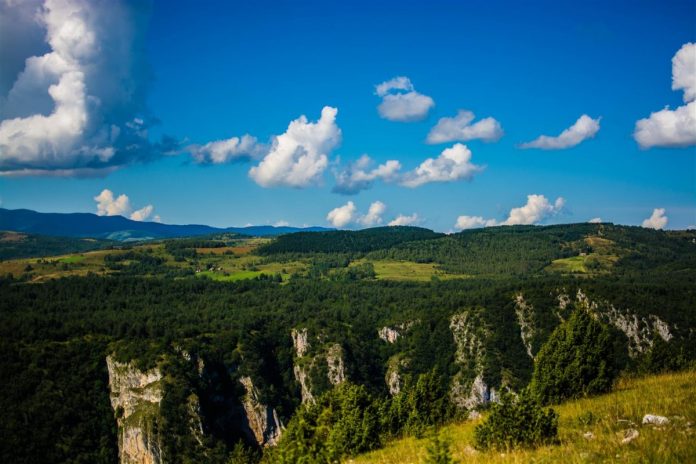 Planina Javor