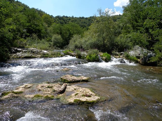 Река Лужница