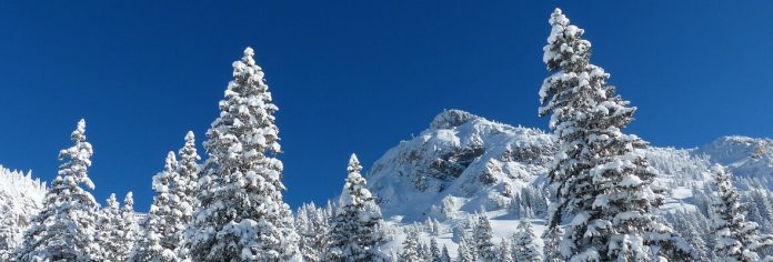 Najviši vrhovi Kopaonika