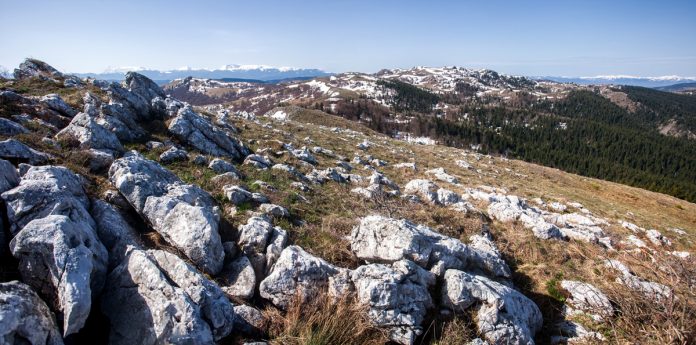 Planina Hum